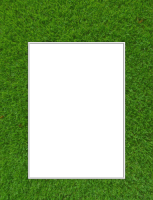 RPL_CoachClipboard_GrassField_Photo