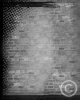 Brick_Silver_8x10_v