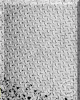 Brushed_Steel_8x10_v