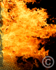 Firestorm_8x10_v