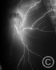 Lightning_Silver_8x10_v