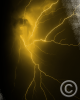 Lightning_Yellow_8x10_v