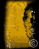 Splatter_Yellow_8x10_v