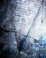 G041