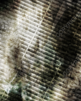 G058