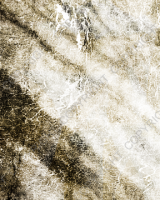 G060