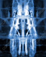 G061