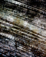 G071