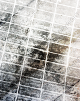 G091