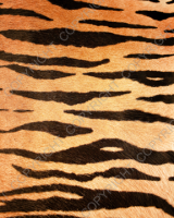 M009