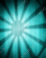 S008