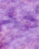 D083