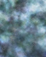D094