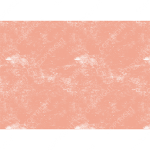 Birth002_5x7_h_peach_back