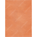 Grad004_5x7_v_back