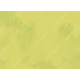 Invitation008_Yellow_5x7_H_back