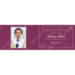 PressBooklet_Classic_Violet_5pt5x17_h_2