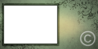 20_4x8_photo-png