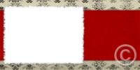 49_4x8_photo-png