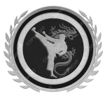 Emblem_Silver_Black_martialarts