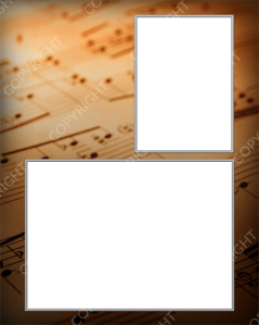rpl_classic_band_8x10_mm_v